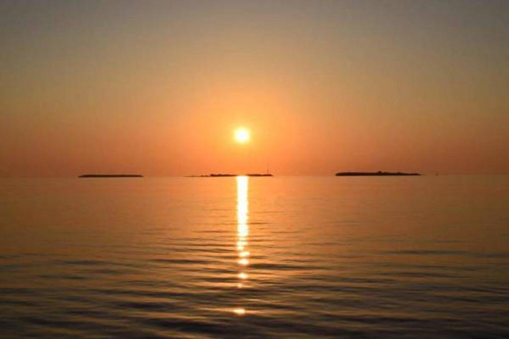 فندق مادي فينولهو غيست هاوس دارافاندهو المظهر الخارجي الصورة